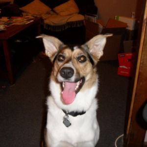 Meet your Posher, Mark